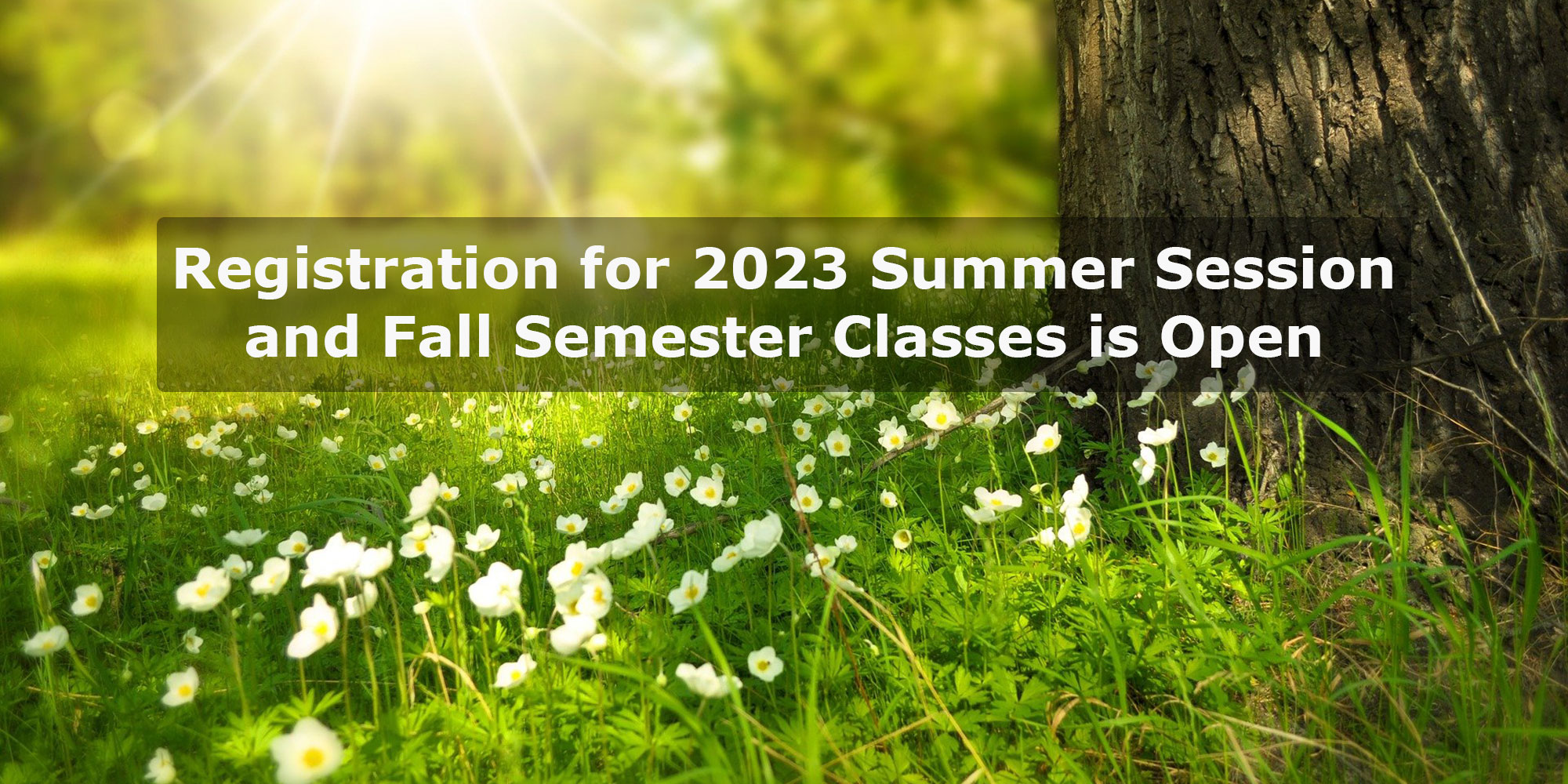 2022 Summer Session and Fall Semester Registration Opens May 2