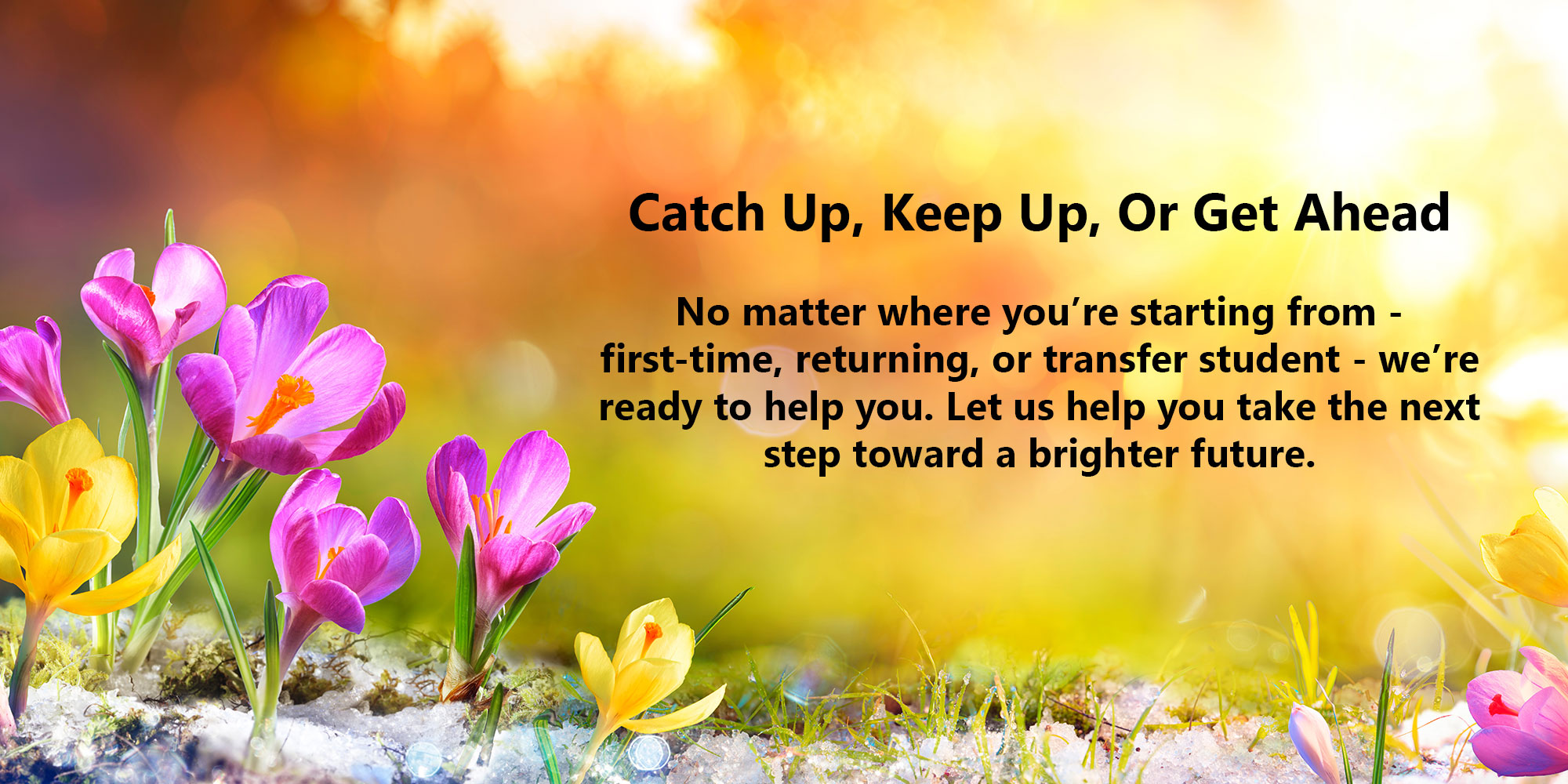 Catch Up, Keep Up, or Get Ahead.
No matter where you’re starting from - first-time, returning, or transfer student - we’re ready to help you. Let us help you take the next step toward a brighter future.
