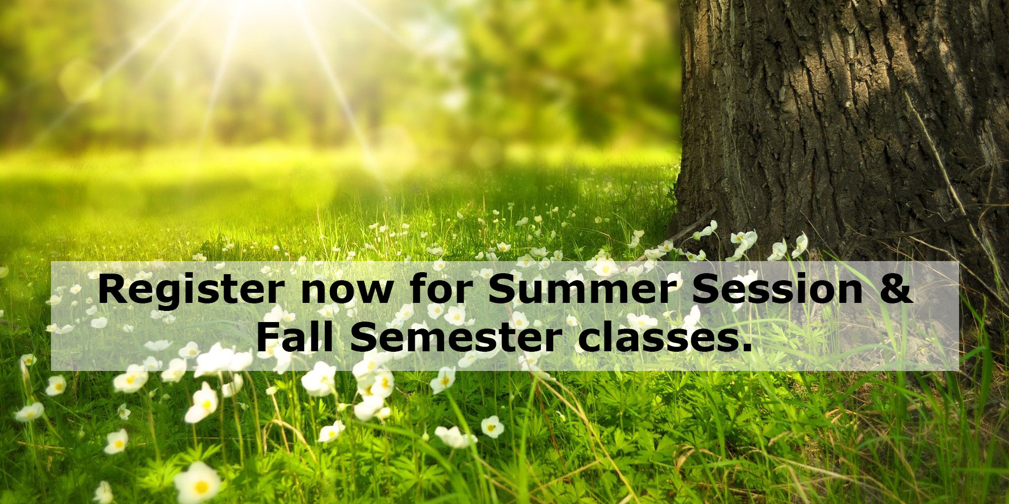 Register now for Summer Session and Fall Semester classes.