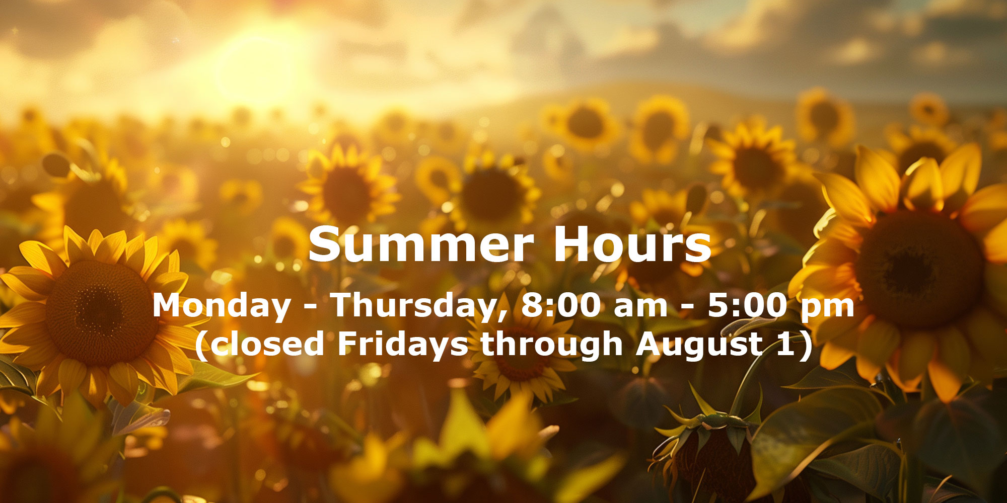 Summer Hours. Monday - Thursday, 8:00 am - 5:00 pm (closed Fridays through August 1).