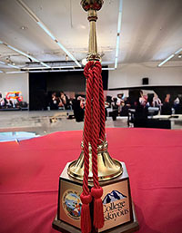 Ronny J Coleman Academy of Excellence Award