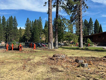Deadwood Crew helping restore landscape