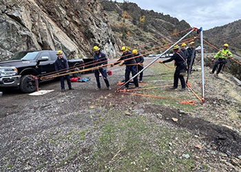 Volunteers with puppies