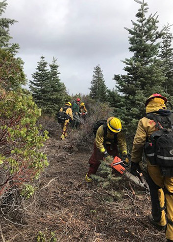 Fire fighters training