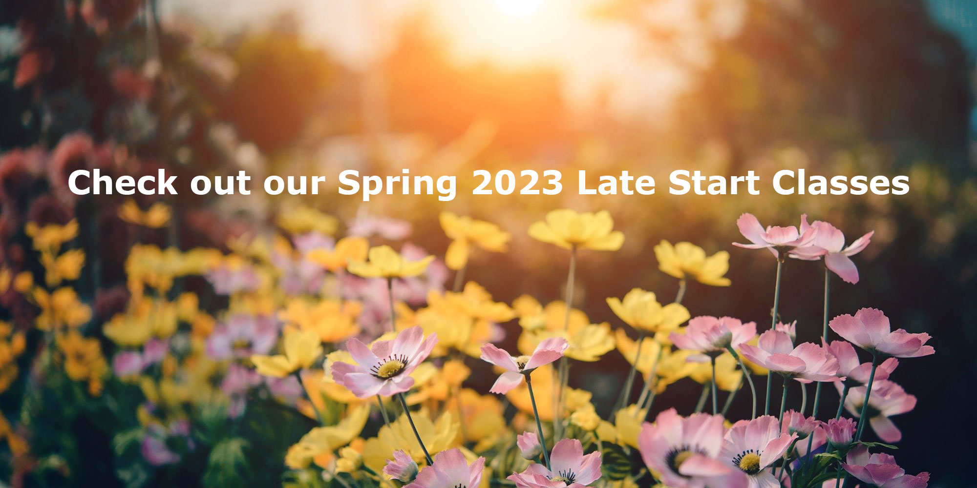 Check out our Spring 2023 Late Start Classes.