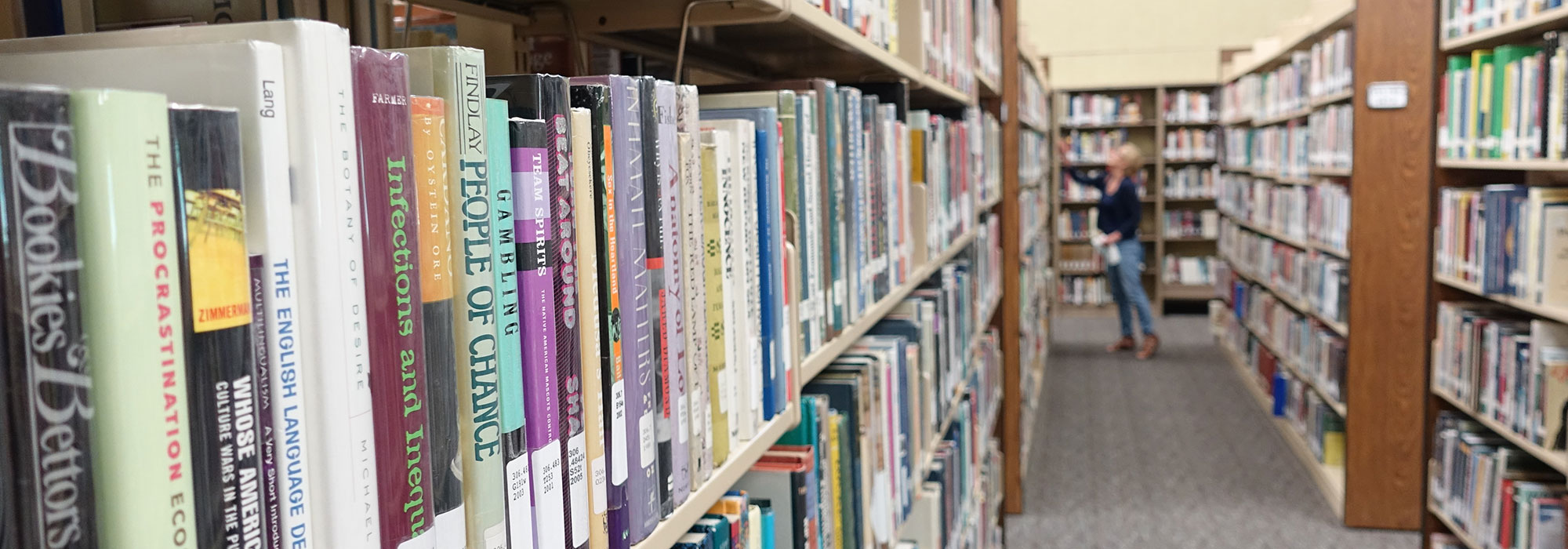 Library Bookshelves